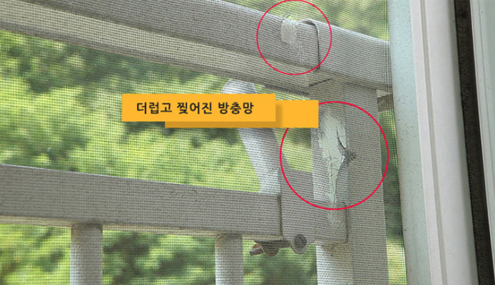 찢어지고 구멍난 방충망