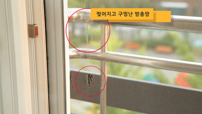 더럽고 찢어진 방충망